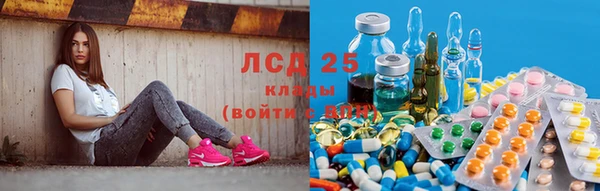 СК Алексин