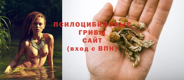 гашик Алексеевка