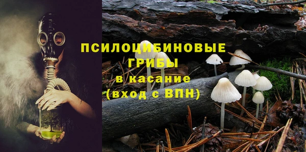 гашик Алексеевка