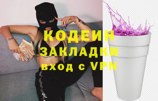 СК Алексин