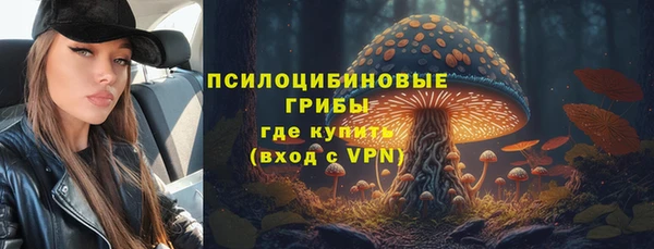 СК Алексин