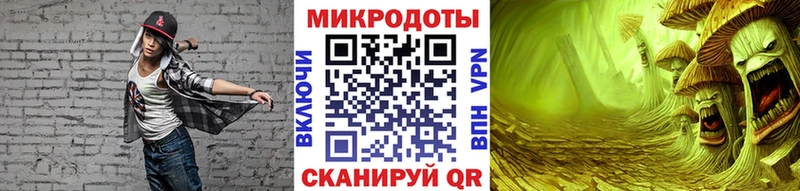 Псилоцибиновые грибы Psilocybine cubensis Нытва